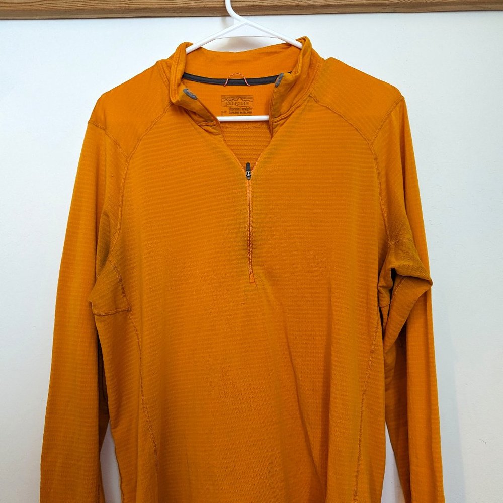 Patagonia Capilene Thermal Weight Hoodie